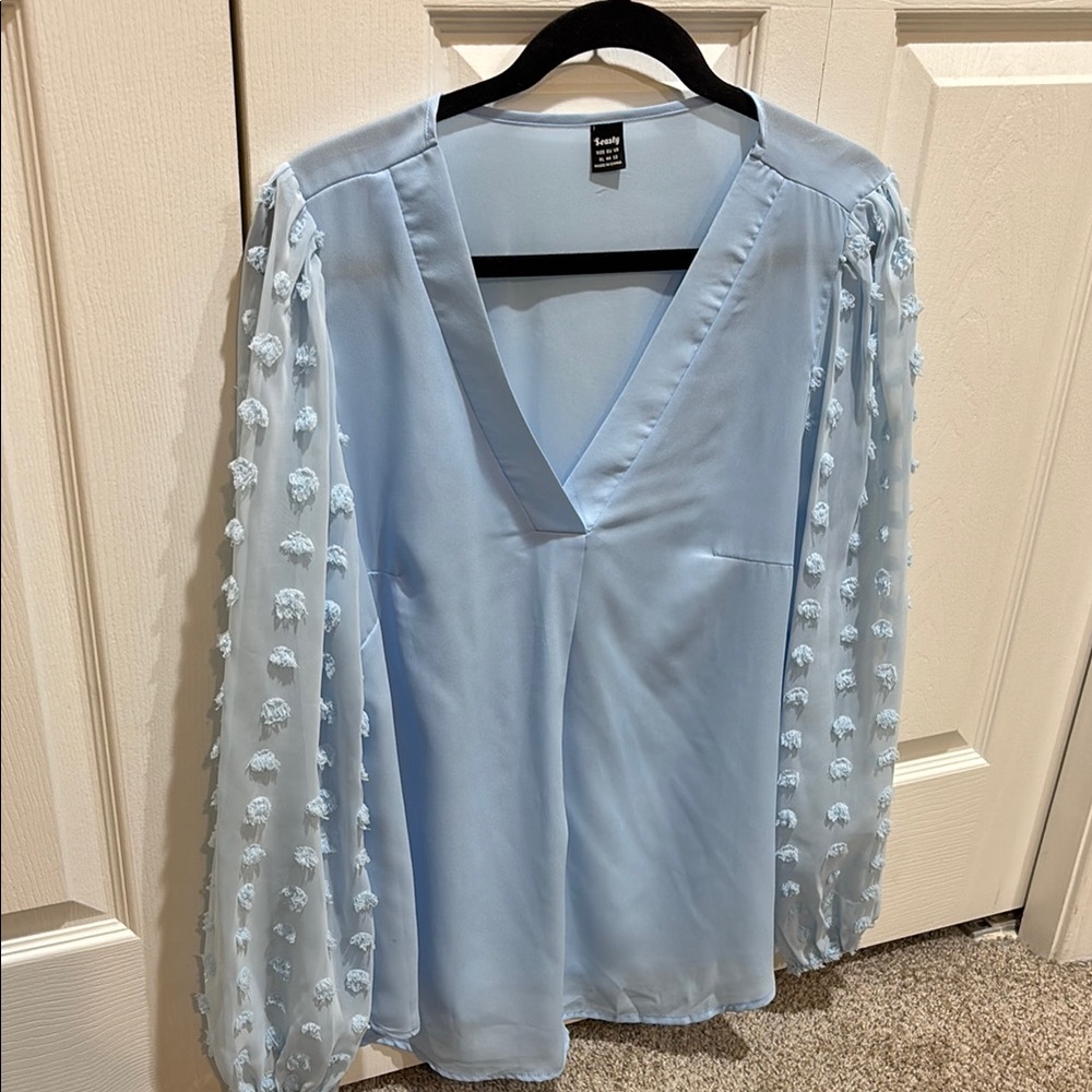 Blue Embellished Long Sleeve Blouse